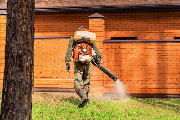 Bed Bug Clearance Verification and Documentation in Boyce